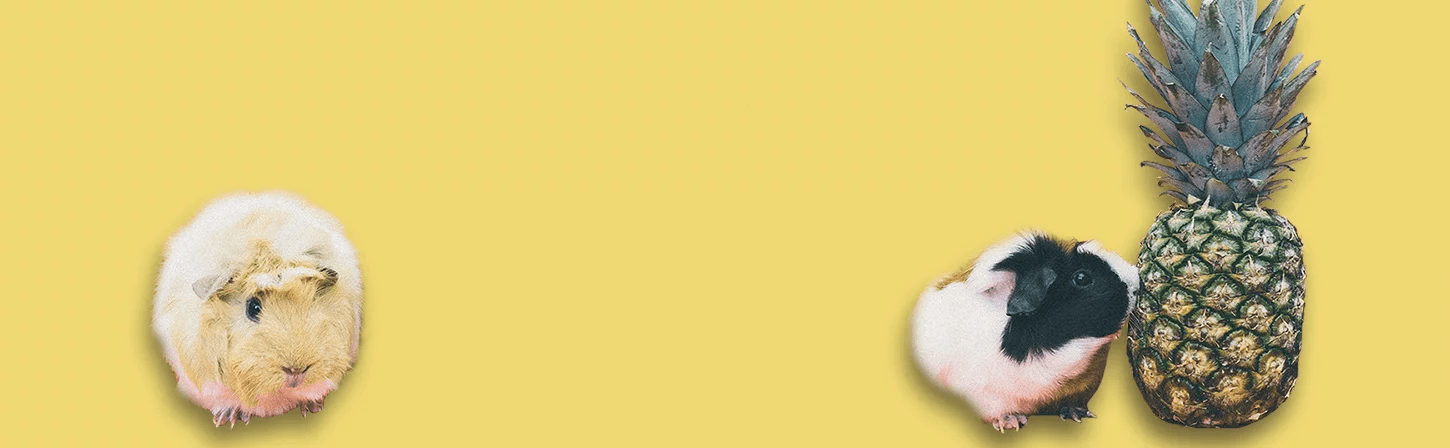 Личный опыт: как поменять профессию, когда тебе почти 30