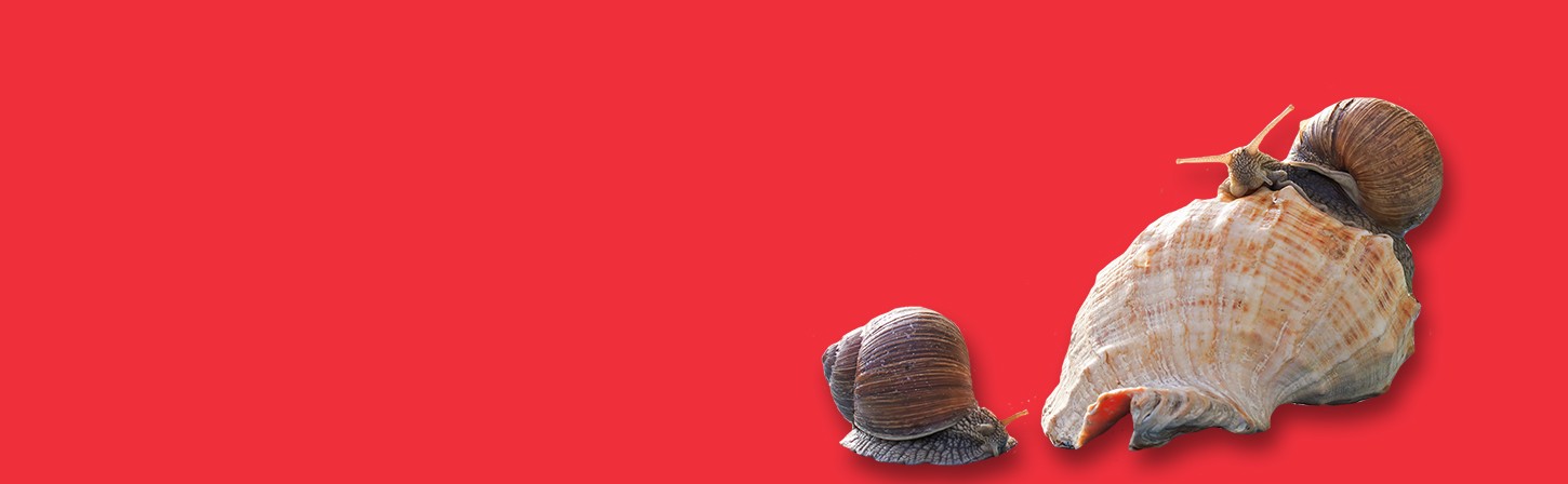 Как ускорить загрузку сайта