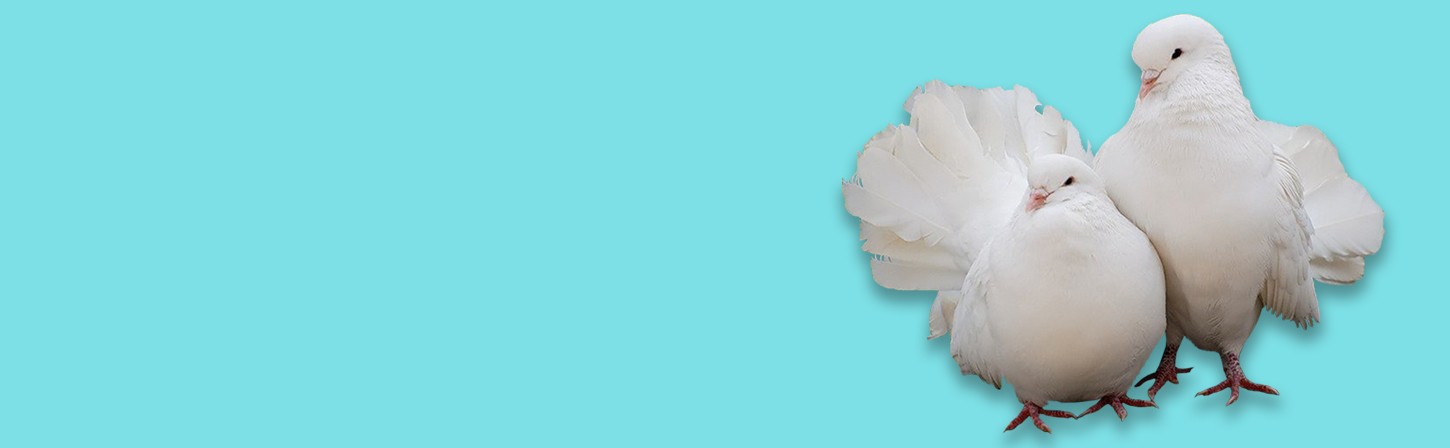 Как вовлечь современного потребителя в коммуникацию с брендом