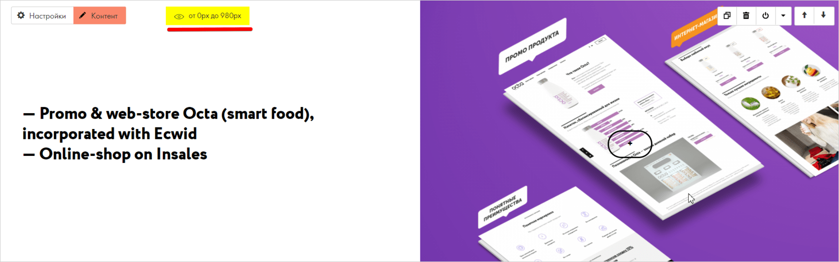 Обзор конструктора сайтов Tilda: возможности, ограничения, советы