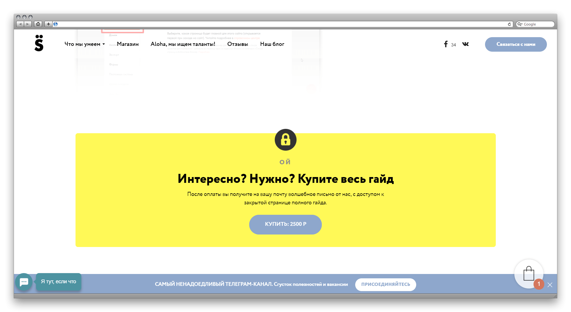 Обзор конструктора сайтов Tilda: возможности, ограничения, советы