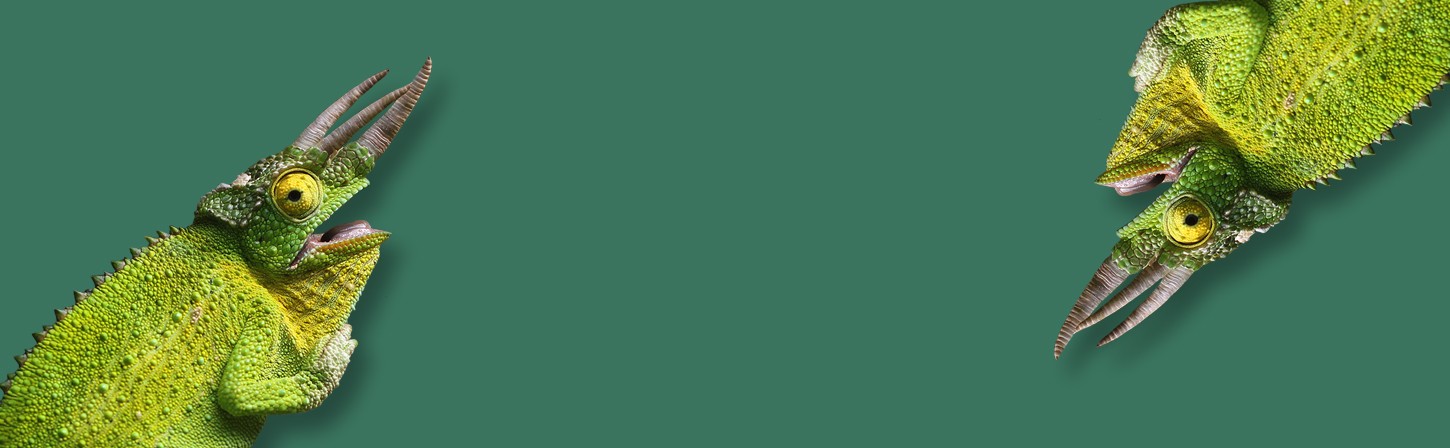 Чек-лист: 8 шагов к эффективному лендингу