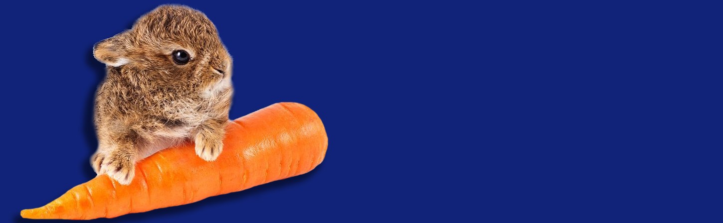 Личный опыт: как организовать работу над проектами и внедрить автоматизацию маркетинга клиентам