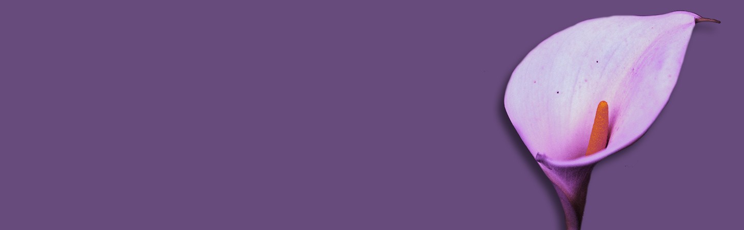 Лучший UX и веб-дизайн по версии пользователей Behance