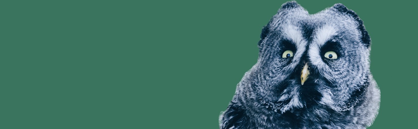 Нативная реклама: лидеры и выводы