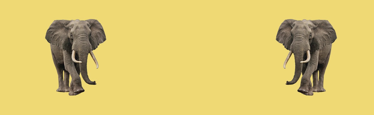 Память и способы ее развития у специалистов