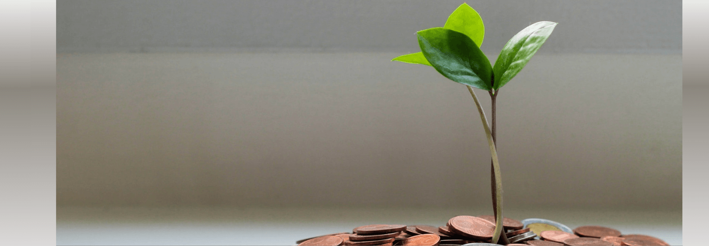 Что почитать о финансах и инвестировании: лучшие книги и каналы