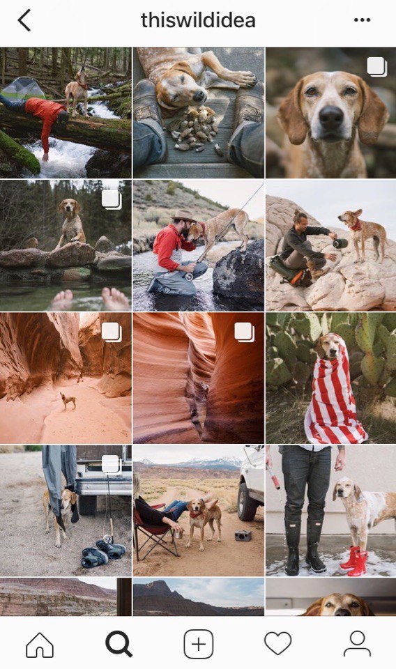 Как продвигаться в Instagram: тренды 2018 года