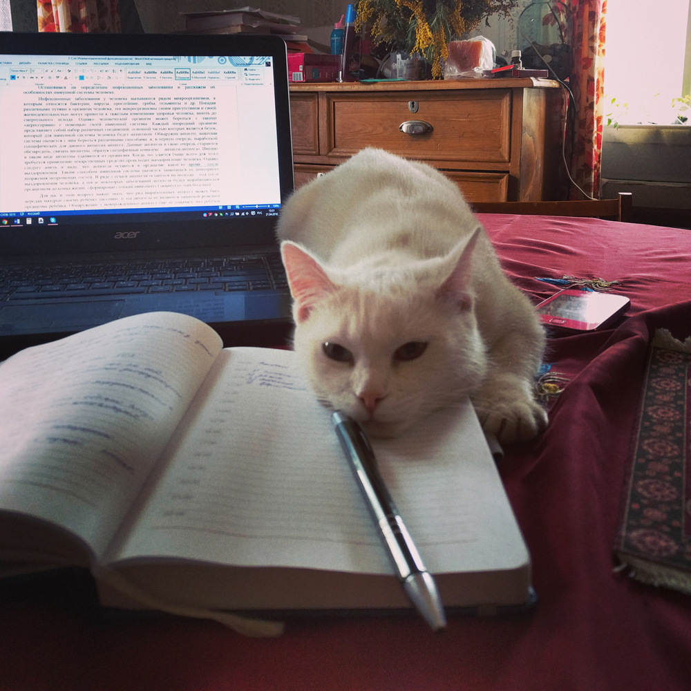 И ещё 21 рабочее место удалёнщиков