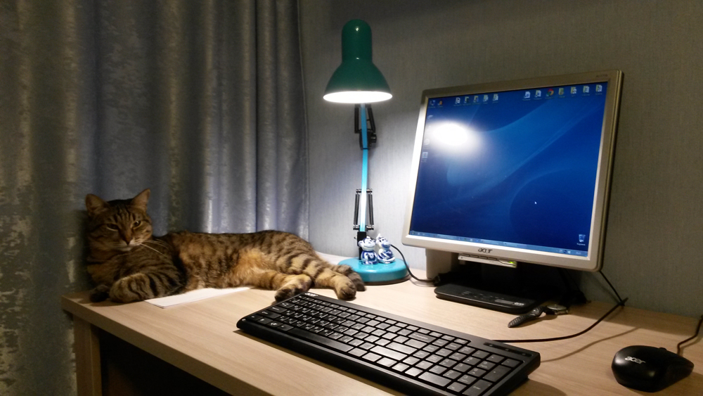 И ещё 21 рабочее место удалёнщиков