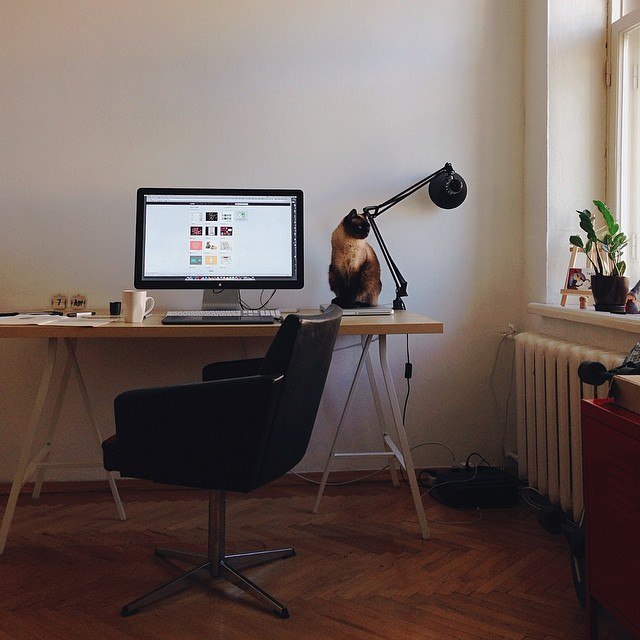 И ещё 21 рабочее место удалёнщиков