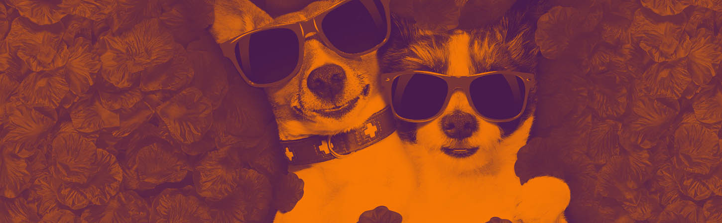 7 способов стать ближе к клиенту и увеличить трафик из соцсетей