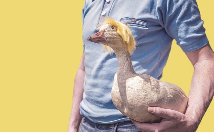 Секреты питчинга: что и как говорить, чтобы привлечь инвестиции