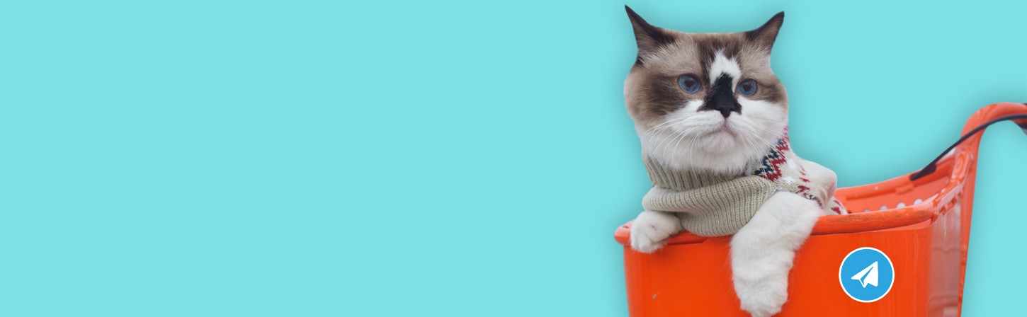 Telegram-каналы для аналитиков, продактов и IT-специалистов