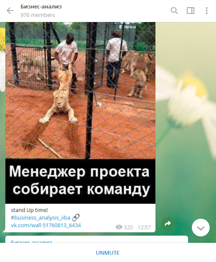 Telegram-каналы для аналитиков, продактов и IT-специалистов