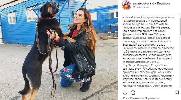 Вся власть блогерам: как медийные личности влияют на аудиторию социальных сетей