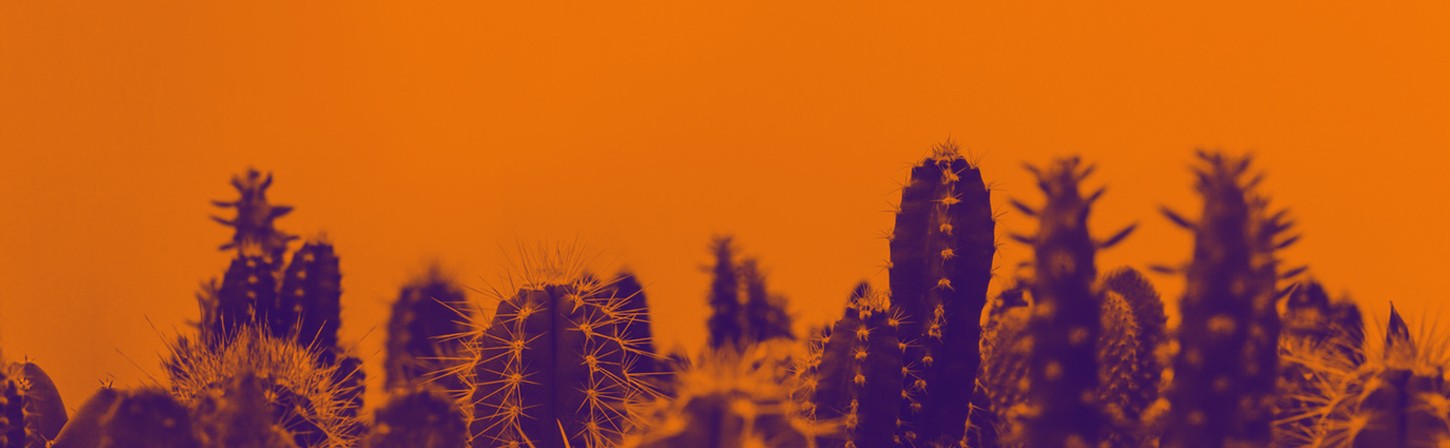 Выбираем блогера: на что обратить внимание перед размещением рекламы