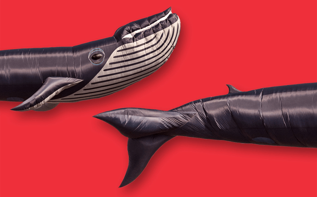 Выпускник курса Нетологии «Data Science» о своей работе в банковской сфере