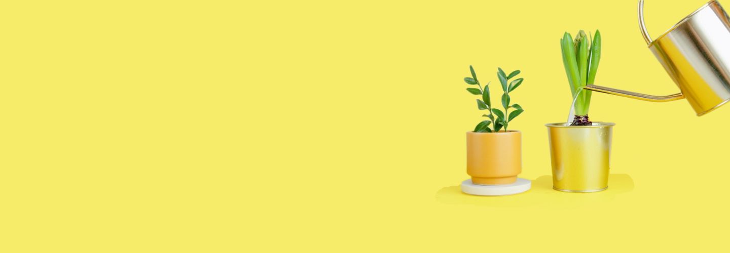 Продвижение интернет-магазина: какие сервисы Яндекса стоит использовать