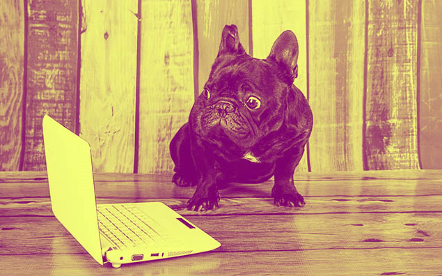 Где фрилансеру-айтишнику искать американских заказчиков