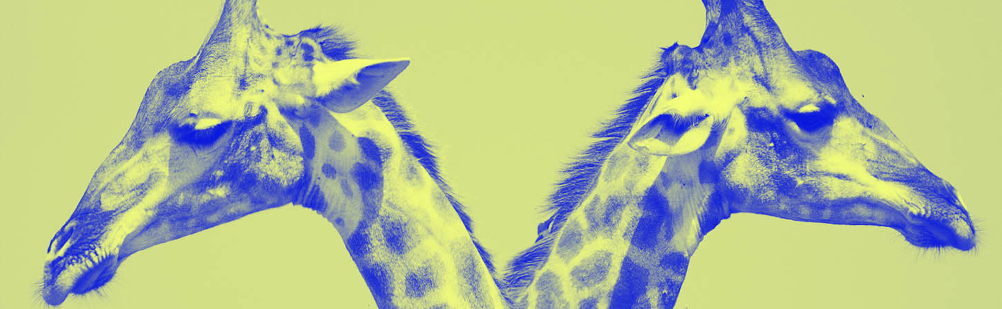 Инфобизнес или онлайн-школа: что выбрать и как развиваться