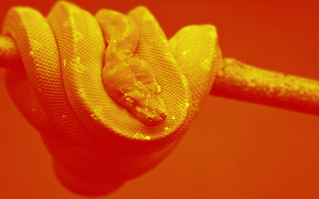 Эти люди создают искусственный интеллект — 4 истории специалистов по ИИ и ML