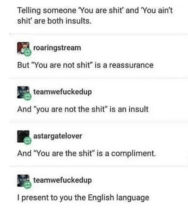 Когда стоит изучать иностранный язык с носителем