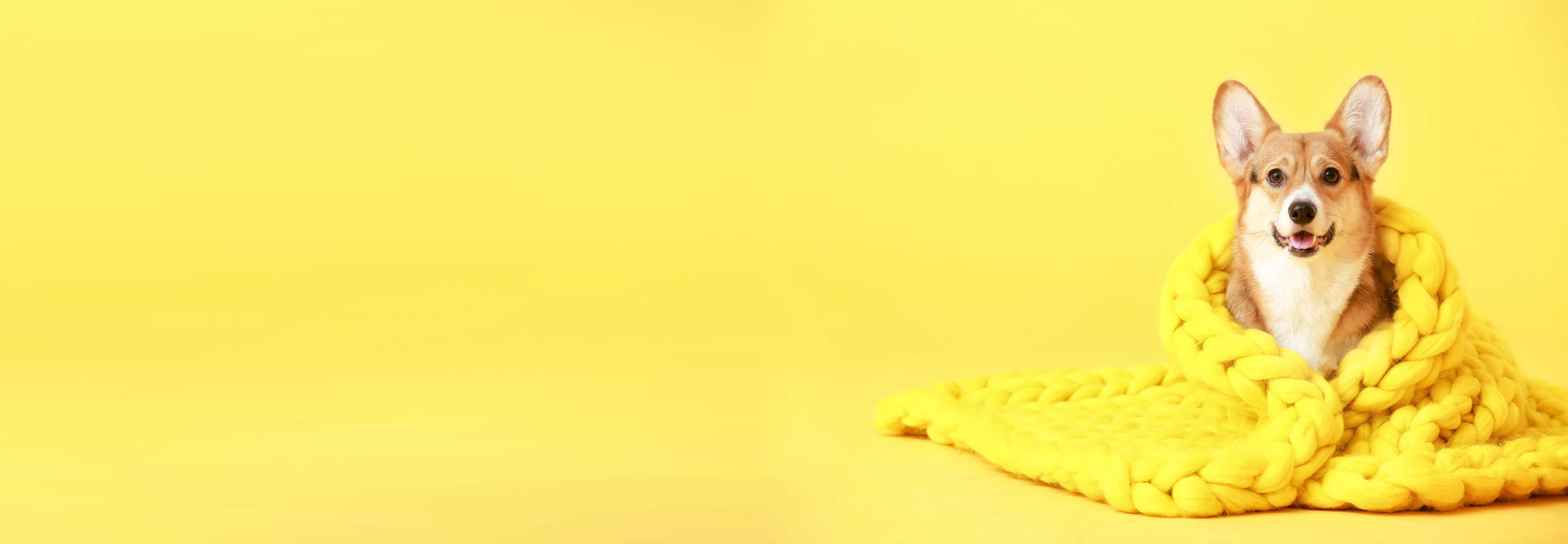 Мне и здесь нормально: что заставляет IT-специалистов годами работать в одной компании