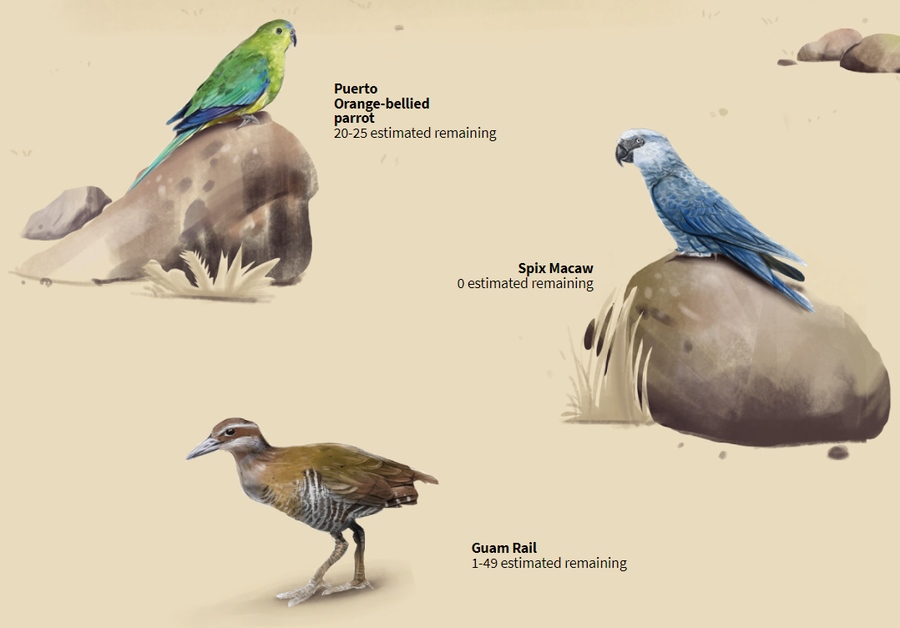 ChatGPT и другие сервисы с нейросетями: смотрим, пробуем и читаем