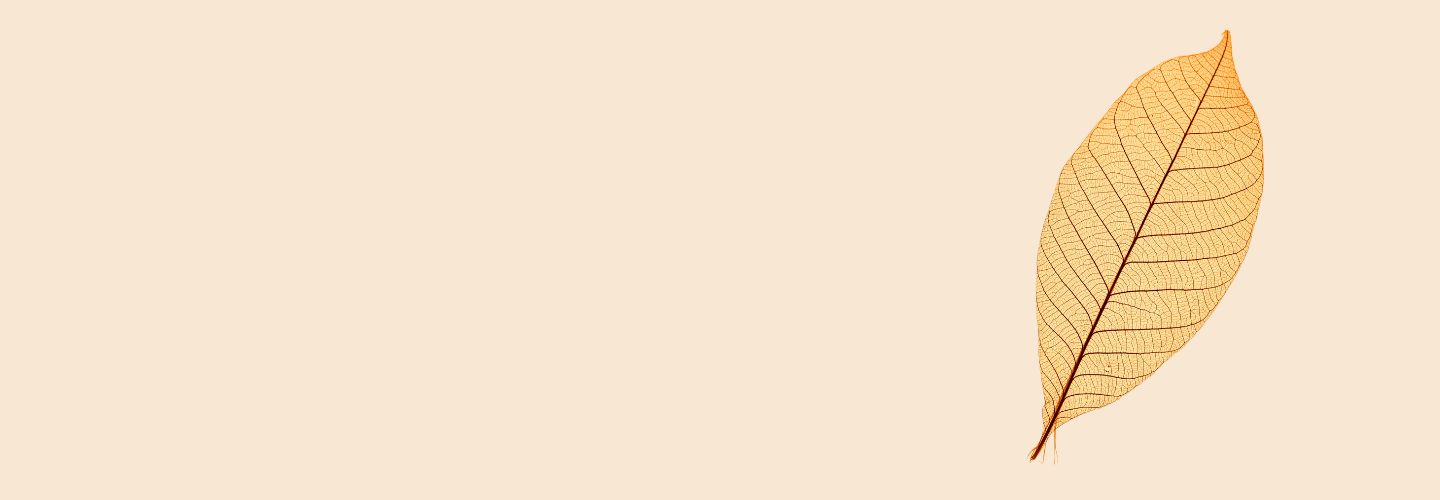 Как сделать экспертные материалы лёгкими для восприятия — избавляемся от канцелярита и скуки