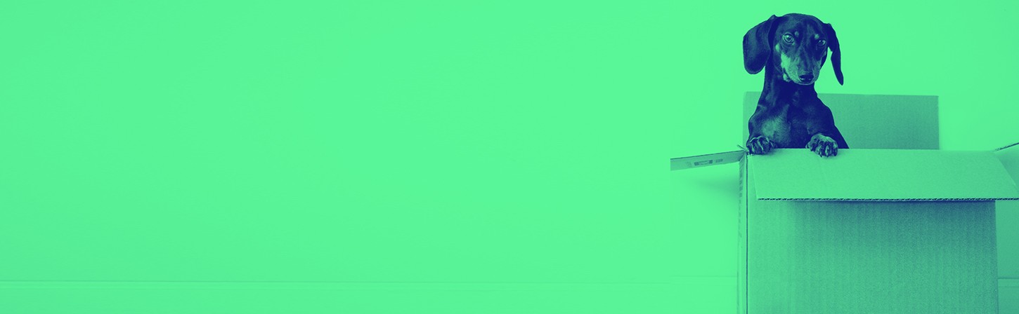 «Если продукт не нужен, то как его ни упаковывай, толку не будет»: как технологические компании работают над пользовательским интерфейсом