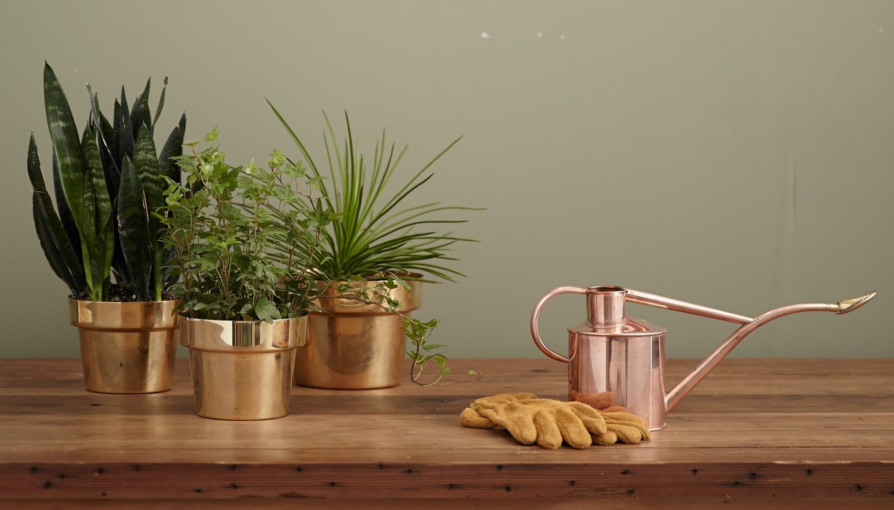 Как менторство помогает бизнесу и человеку