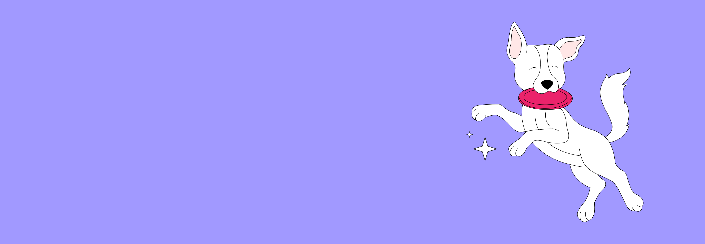 Контент-план и чатбот: как увеличить сборы пожертвований приюту для животных на 300%