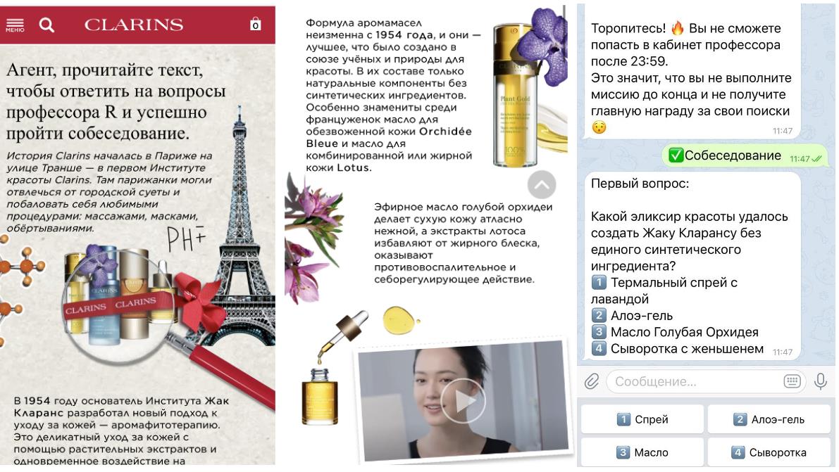 Контент-план и чатбот: как увеличить сборы пожертвований приюту для животных на 300%