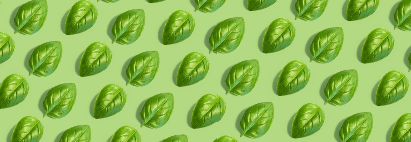 Как работодателям привлекать начинающих IT-специалистов