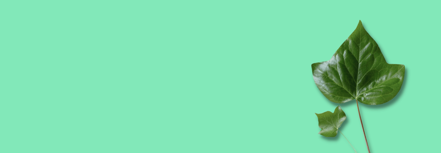 Обучение в США: какие программы доступны для иностранных студентов, как получить визу, какие есть возможности после обучения