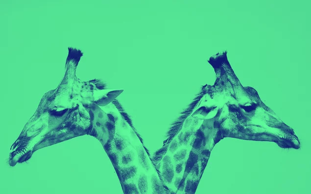 Как использовать чек-листы при создании контента