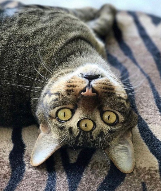 Как разработать контент-стратегию для бренда в соцсетях