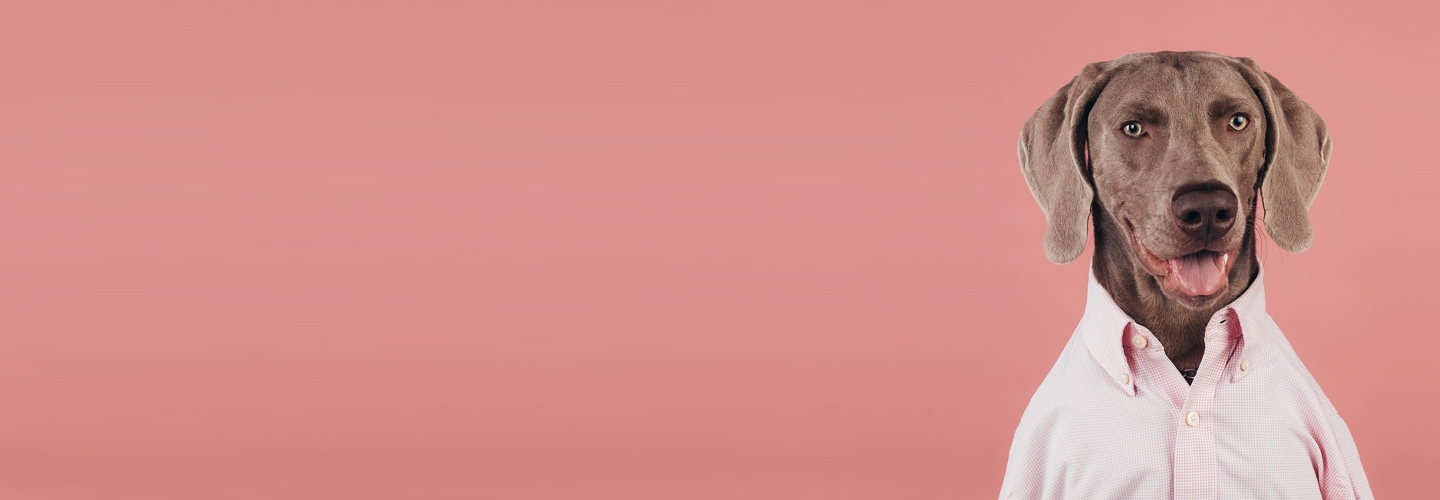 Что такое синдром самозванца и почему необязательно с ним бороться