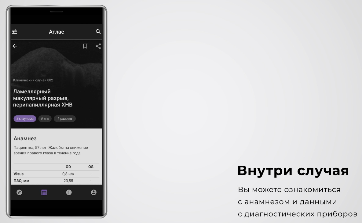 Личный опыт: как из координатора вырасти в исполнительного директора