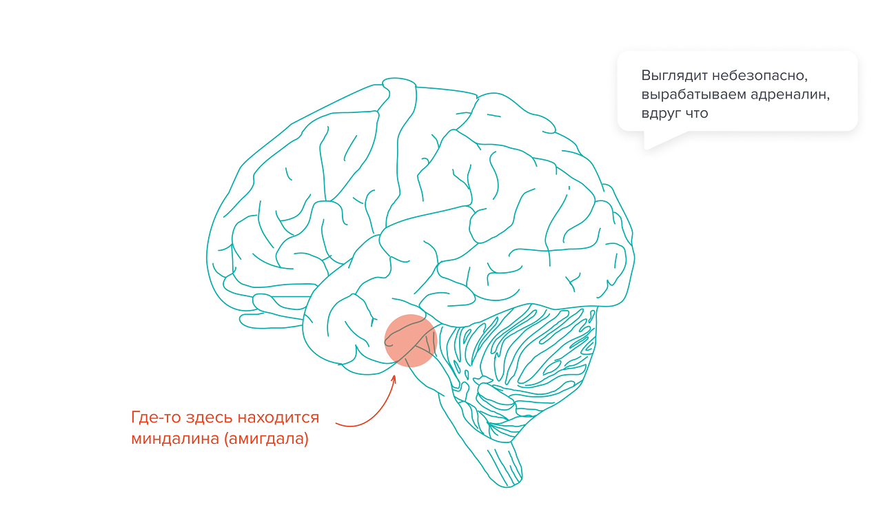 Как побороть страх публичных выступлений