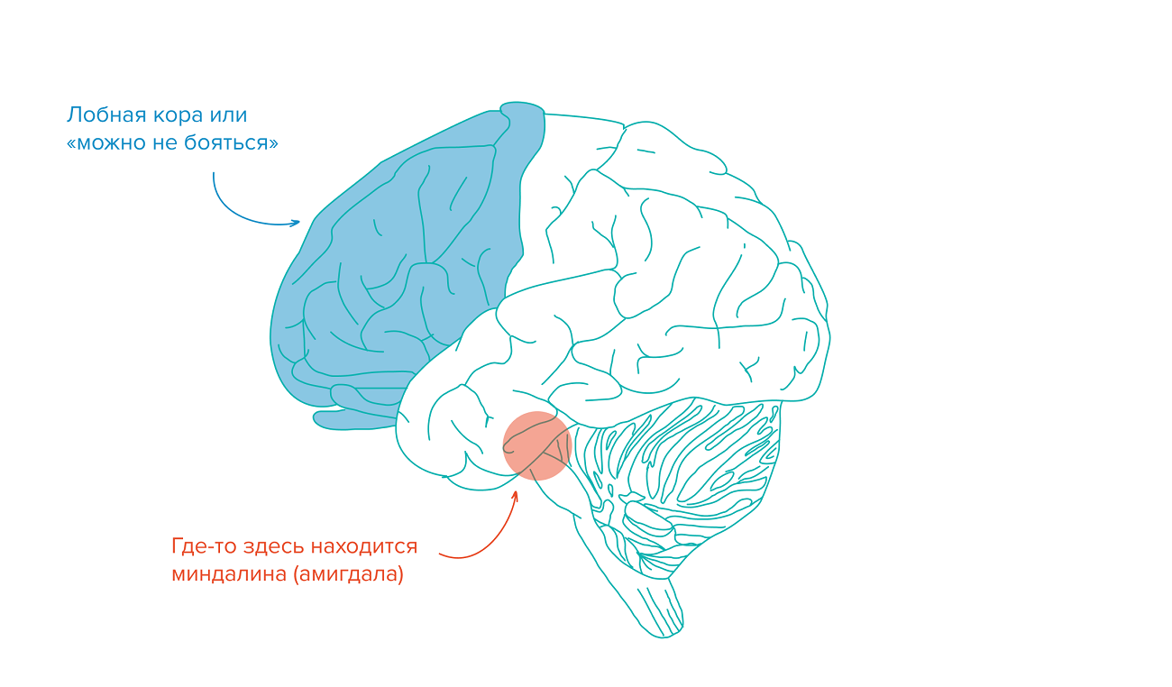 Как побороть страх публичных выступлений