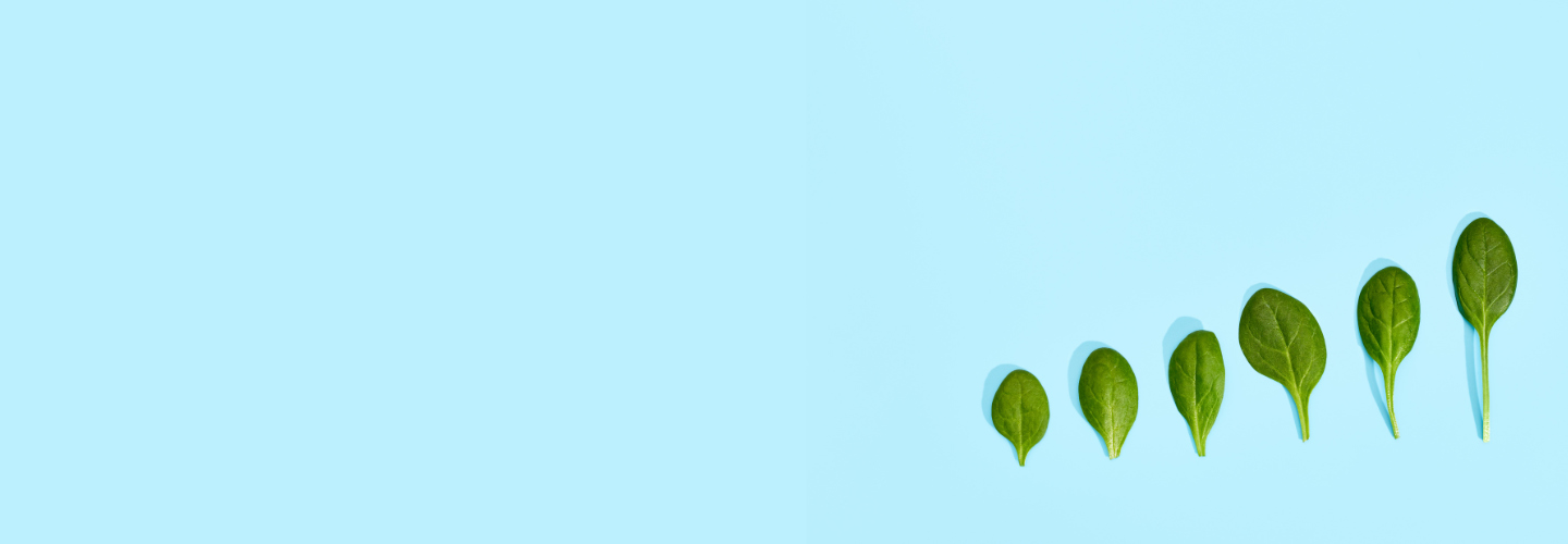 8 принципов качественного онлайн-обучения