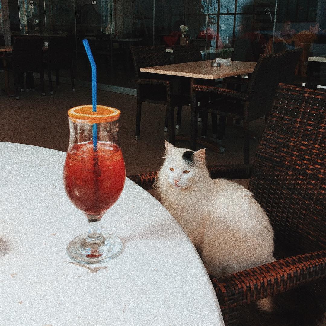 Зимовка на Кипре для удалёнщика: что учесть и сколько денег взять