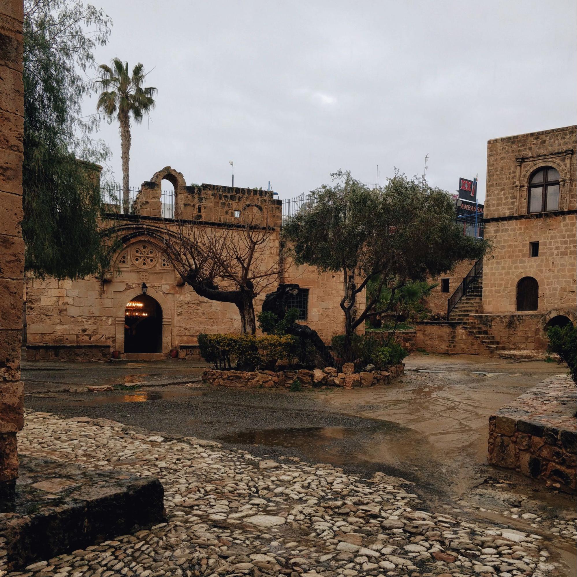 Зимовка на Кипре для удалёнщика: что учесть и сколько денег взять