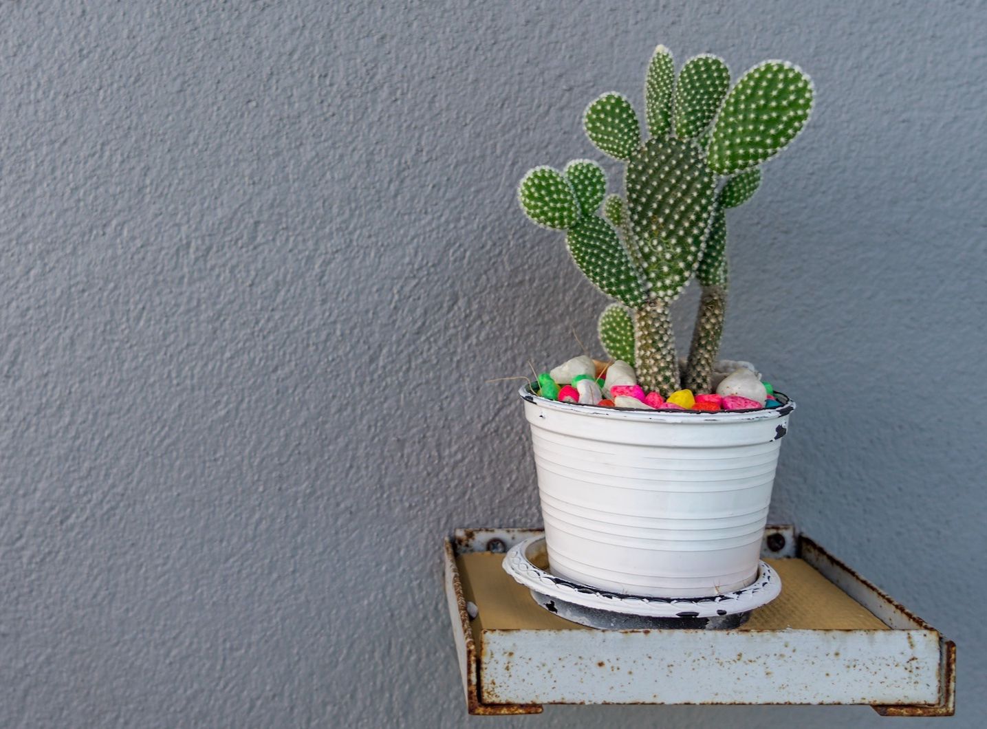 Размышляем, что ждёт людей и бренды после пандемии