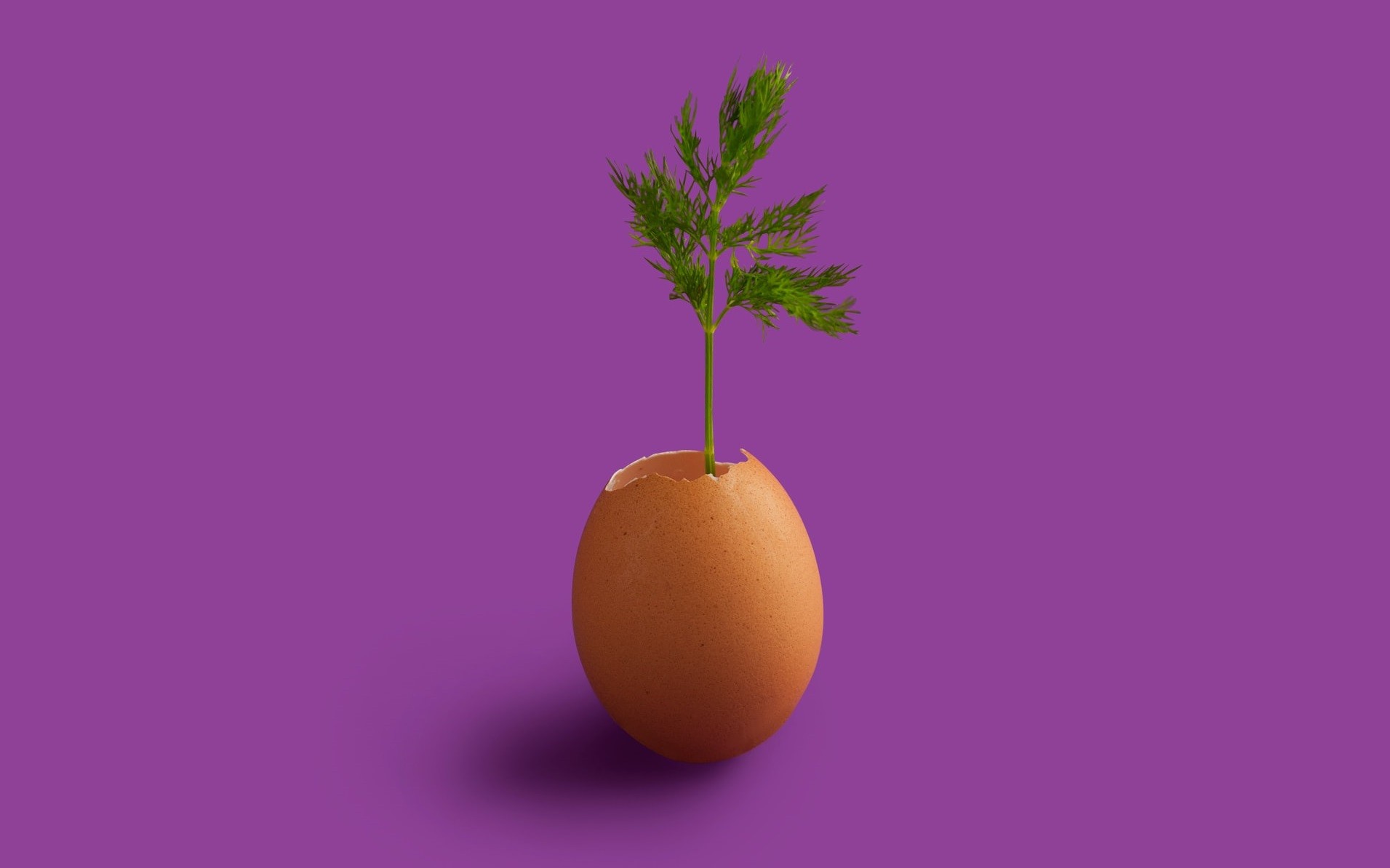 «Голый энтузиазм», или как я создала SMM-агентство с нуля