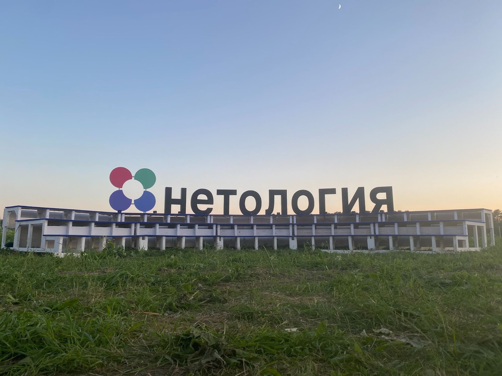 Поддержим «Дикую мяту»: акция от Нетологии