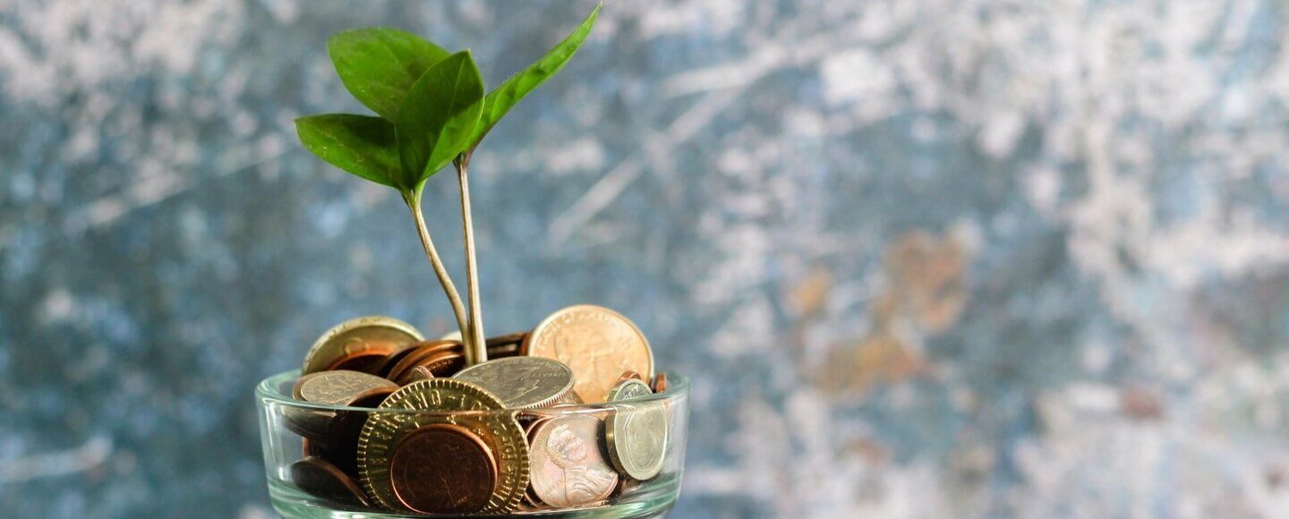 Кто такой финансист и чем занимается