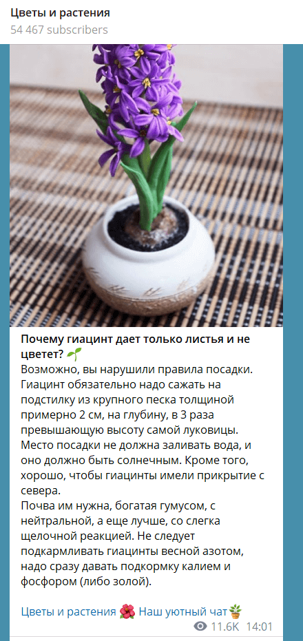 Продвижение в Telegram: аудитория, особенности контента, рекламные форматы